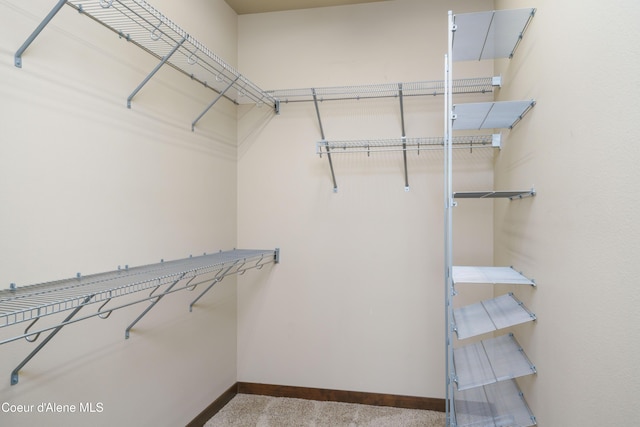 10955 N Seaside St, Hayden, ID 83835 - walk in closet featuring carpet