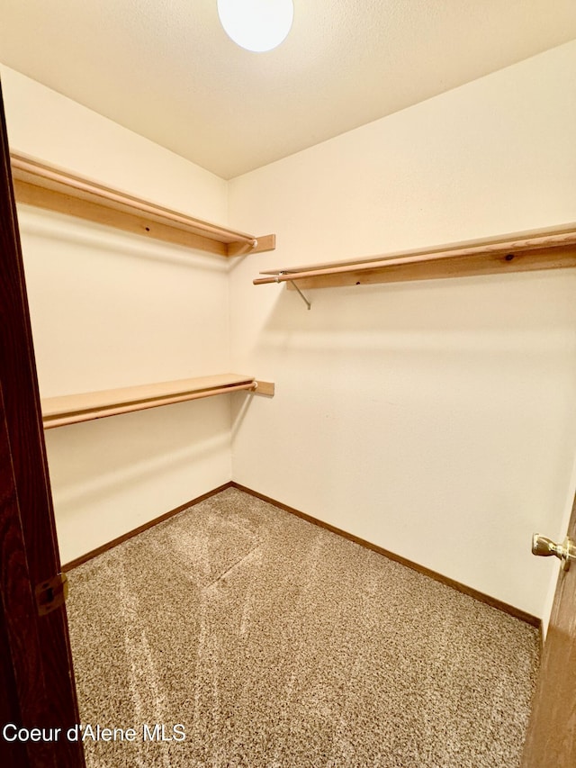 3674 E 2nd Ave, Post Falls, ID 83854 - walk in closet with carpet flooring