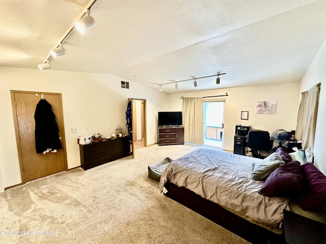 3674 E 2nd Ave, Post Falls, ID 83854 - bedroom with rail lighting, carpet, and vaulted ceiling