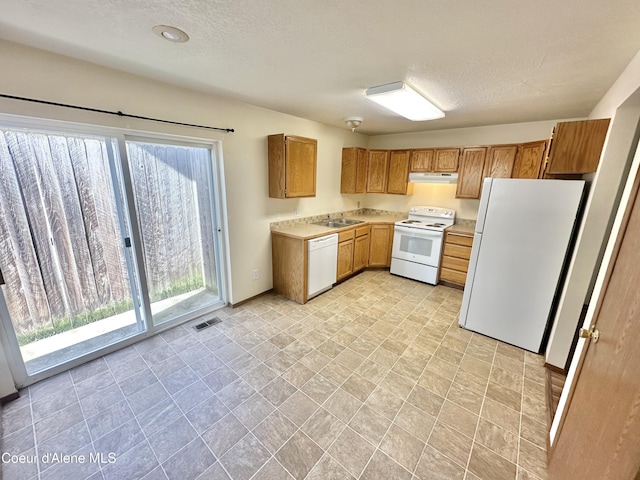 3674 E 2nd Ave, Post Falls, ID 83854 - kitchen with white appliances, plenty of natural light, under cabinet range hood, light countertops, and a textured ceiling