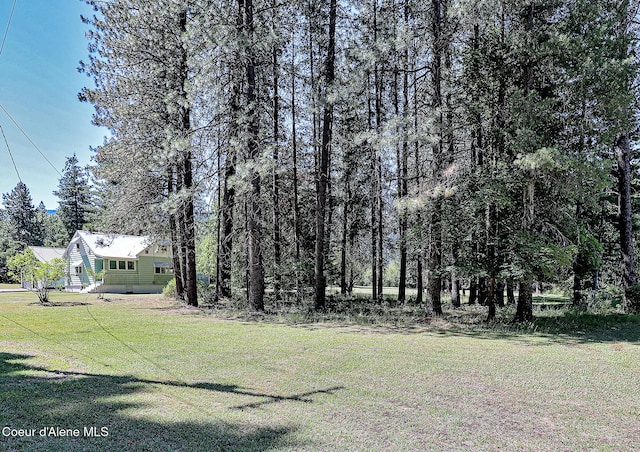 67 Nuchols Gulch Rd, Osburn, ID 83849 - view of green lawn