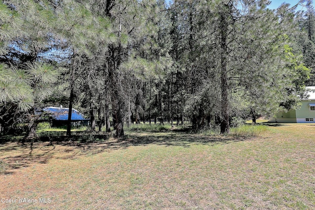 67 Nuchols Gulch Rd, Osburn, ID 83849 - view of green lawn