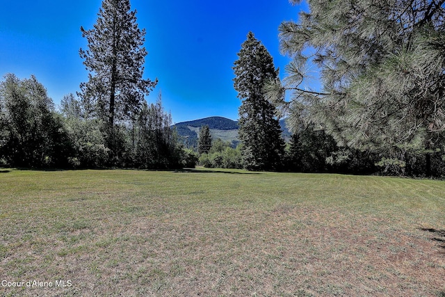 67 Nuchols Gulch Rd, Osburn, ID 83849 - view of mountain backdrop