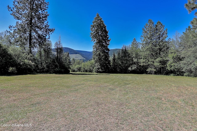 67 Nuchols Gulch Rd, Osburn, ID 83849 - view of green lawn featuring a mountain view