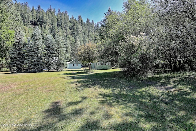 67 Nuchols Gulch Rd, Osburn, ID 83849 - view of green lawn featuring a view of trees