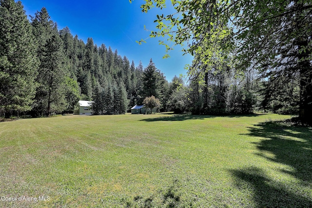 67 Nuchols Gulch Rd, Osburn, ID 83849 - view of grassy yard featuring a forest view