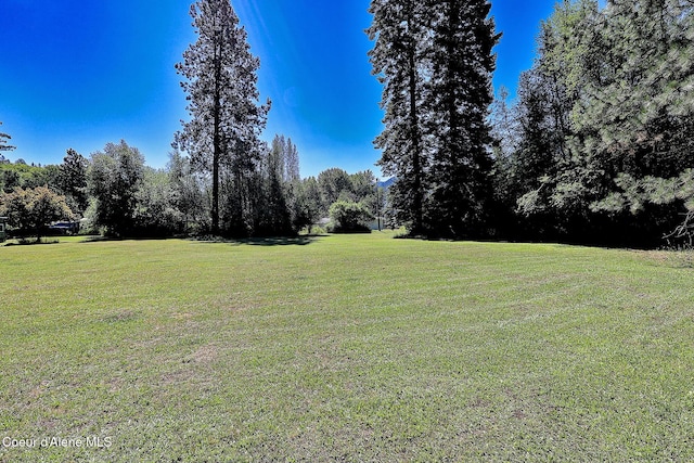 67 Nuchols Gulch Rd, Osburn, ID 83849 - view of grassy yard