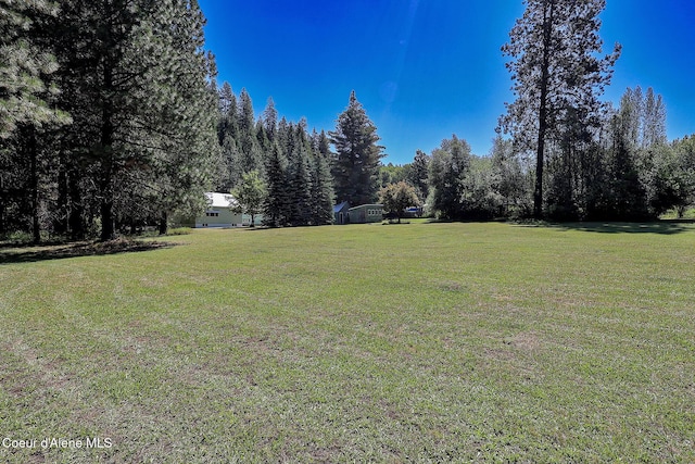 67 Nuchols Gulch Rd, Osburn, ID 83849 - view of grassy yard with a forest view