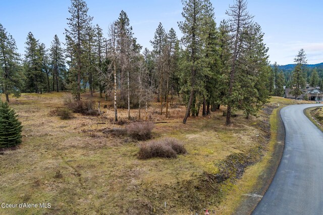 6398 S Old Barn Rd, Harrison, ID 83833 - photo 11