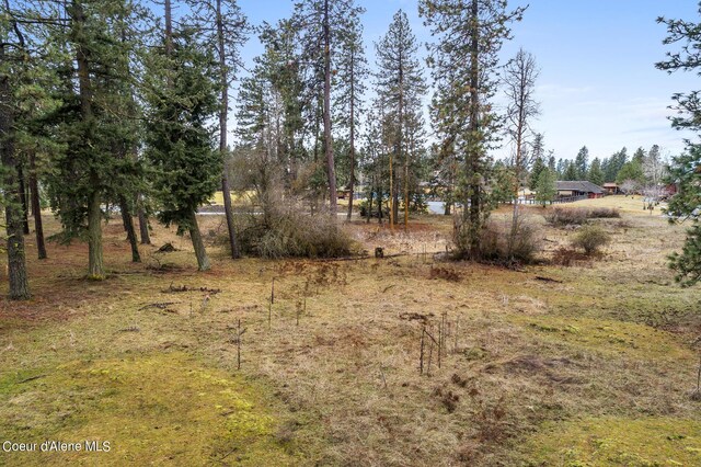 6398 S Old Barn Rd, Harrison, ID 83833 - photo 15