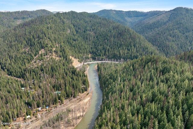 26883 Coeur Dalene River Rd Unit D, Wallace, ID 83873 - photo 37