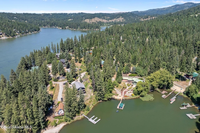 14545 N Samhill Trl, Hayden, ID 83835 - aerial view of property and surrounding area featuring a forest and a large body of water