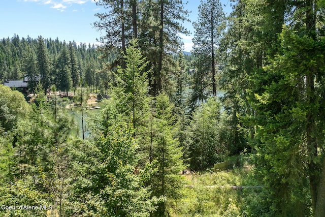 14545 N Samhill Trl, Hayden, ID 83835 - view of woods