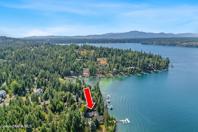 9247 N Hart Ln, Hayden, ID 83835 - photo 60