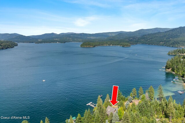 9247 N Hart Ln, Hayden, ID 83835 - photo 61