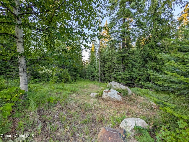 699 Granite Ridge Rd, Priest River, ID 83856 - view of yard