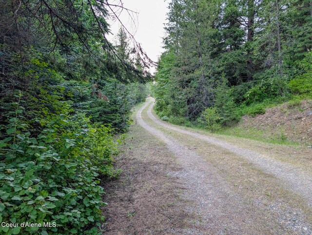 699 Granite Ridge Rd, Priest River, ID 83856 - view of street with a forest view