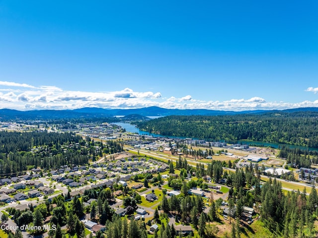 3206 N Lodgepole Rd, Coeur Dalene, ID 83815 - bird's eye view of a heavily wooded area and a water and mountain view