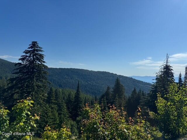 NNA Avalanche Dr, Sandpoint, ID 83864 - photo 1