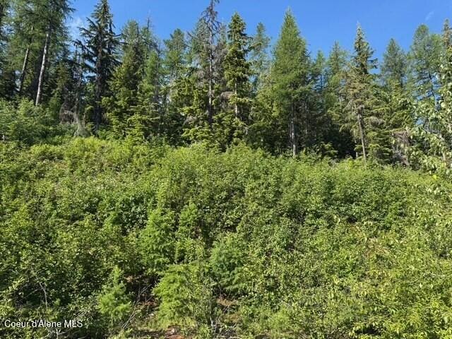 NNA Avalanche Dr, Sandpoint, ID 83864 - photo 3
