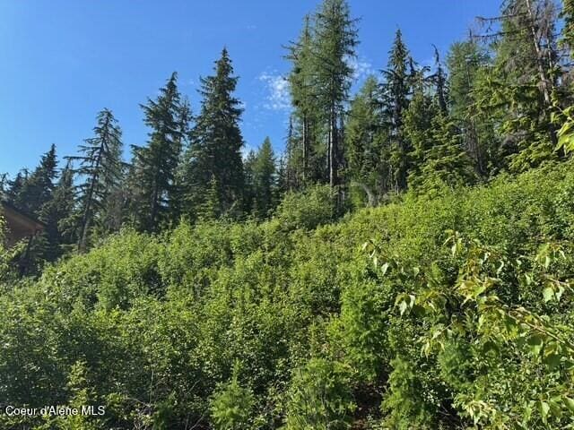 NNA Avalanche Dr, Sandpoint, ID 83864 - photo 4