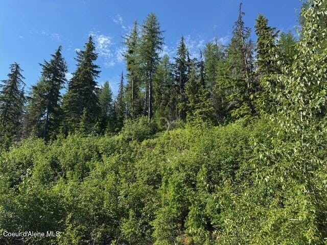 NNA Avalanche Dr, Sandpoint, ID 83864 - photo 5