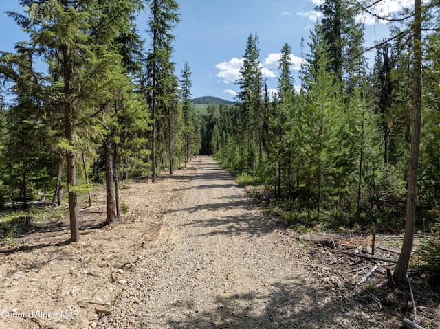 448 Reeder Bay Rd, Nordman, ID 83848 - photo 2