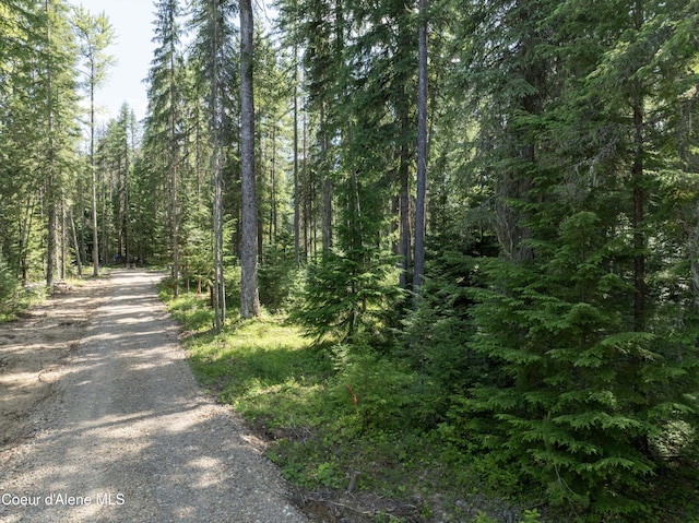 448 Reeder Bay Rd, Nordman, ID 83848 - photo 4