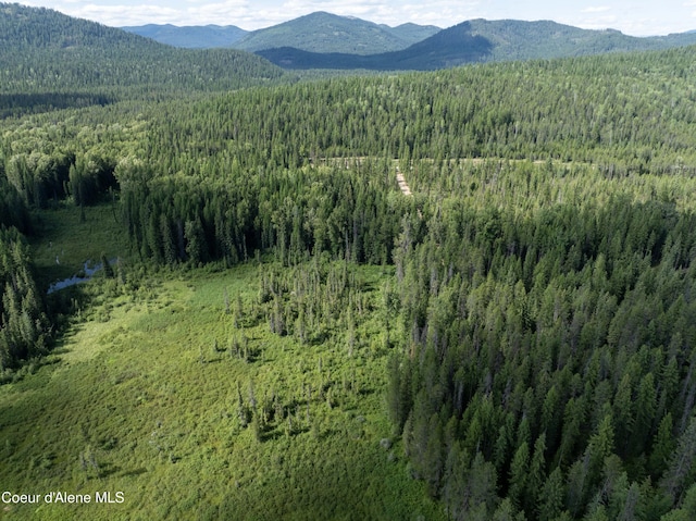 448 Reeder Bay Rd, Nordman, ID 83848 - photo 6