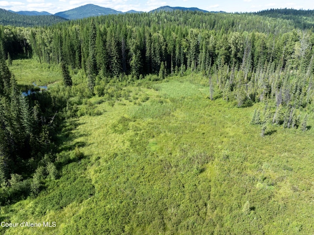 448 Reeder Bay Rd, Nordman, ID 83848 - photo 11