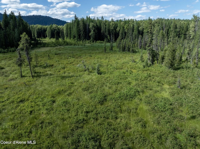 448 Reeder Bay Rd, Nordman, ID 83848 - photo 15