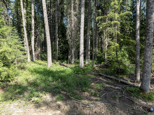 448 Reeder Bay Rd, Nordman, ID 83848 - photo 19