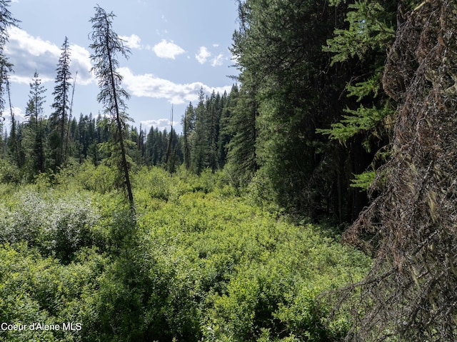 448 Reeder Bay Rd, Nordman, ID 83848 - photo 20
