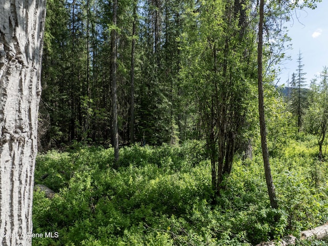 448 Reeder Bay Rd, Nordman, ID 83848 - photo 21