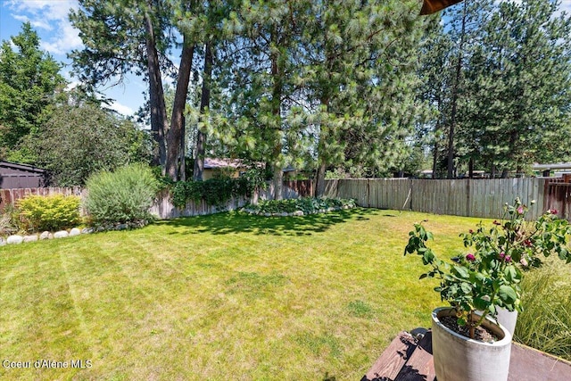 7315 W Lund St, Rathdrum, ID 83858 - view of fenced backyard