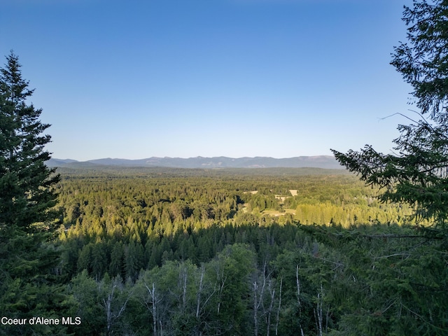 3261 N Center Valley Rd, Sandpoint, ID 83864 - photo 9