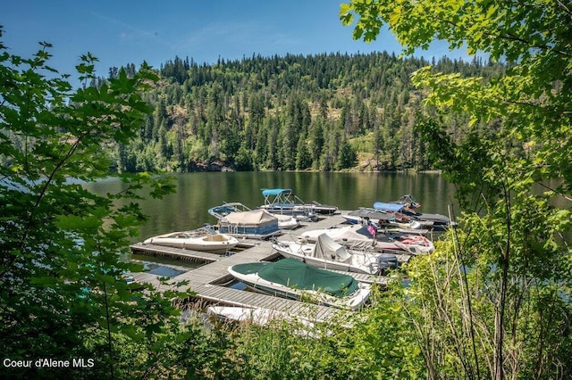 5653 W Racquet Rd, Rathdrum, ID 83858 - dock area with a forest view and a water view