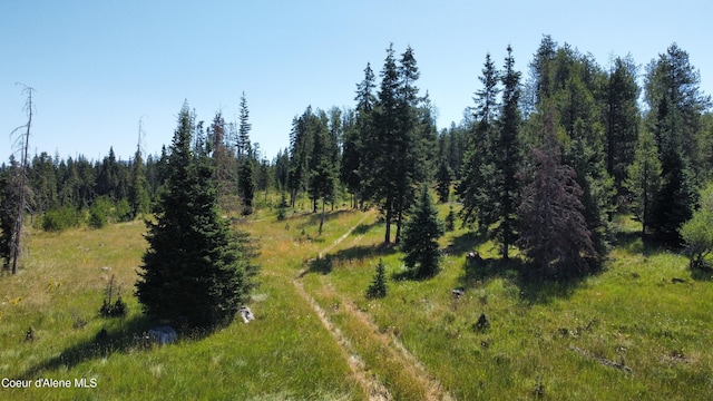 PARCEL10 Green Valley Rd, Fernwood, ID 83830