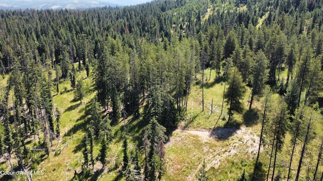 PARCEL10 Green Valley Rd, Fernwood, ID 83830