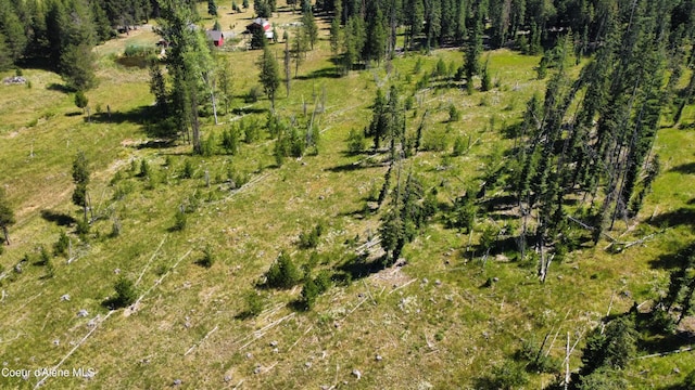 PARCEL10 Green Valley Rd, Fernwood, ID 83830