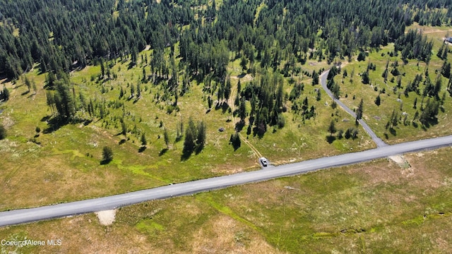 PARCEL10 Green Valley Rd, Fernwood, ID 83830