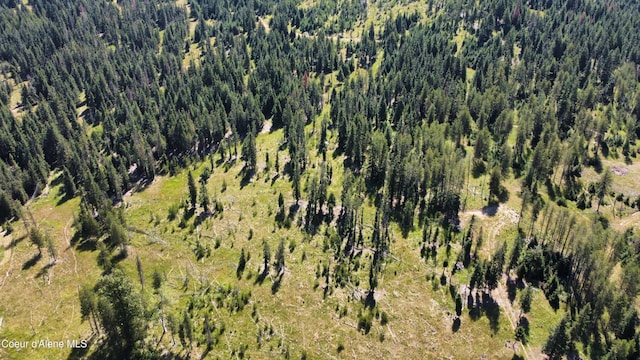 PARCEL10 Green Valley Rd, Fernwood, ID 83830