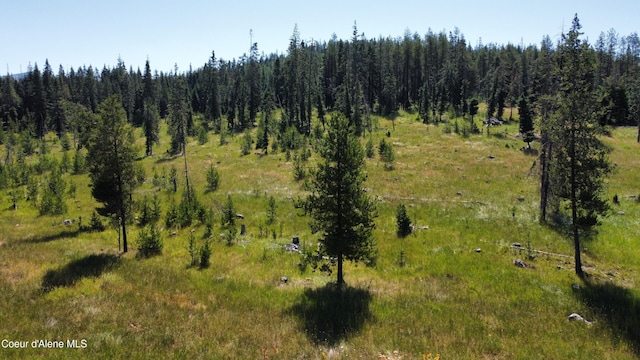 PARCEL10 Green Valley Rd, Fernwood, ID 83830
