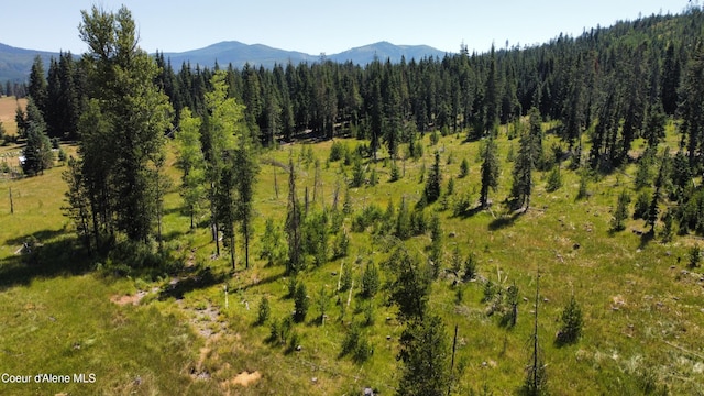 PARCEL10 Green Valley Rd, Fernwood, ID 83830
