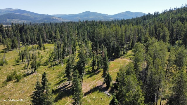 PARCEL10 Green Valley Rd, Fernwood, ID 83830