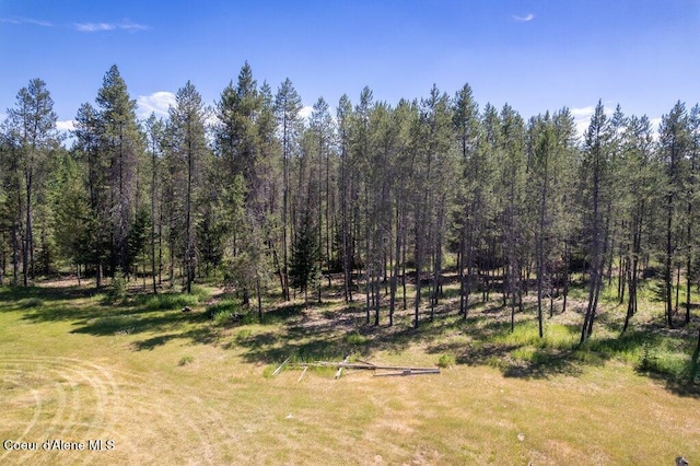 17320 E Perimeter Rd, Athol, ID 83801 - view of nature