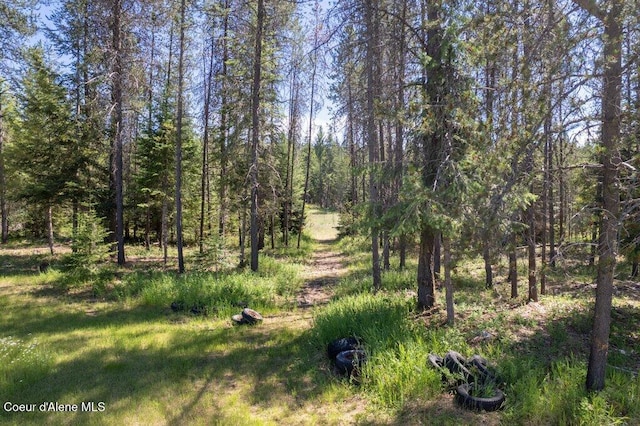 17320 E Perimeter Rd, Athol, ID 83801 - view of wooded area