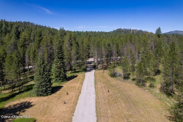 17320 E Perimeter Rd, Athol, ID 83801 - bird's eye view of a forest