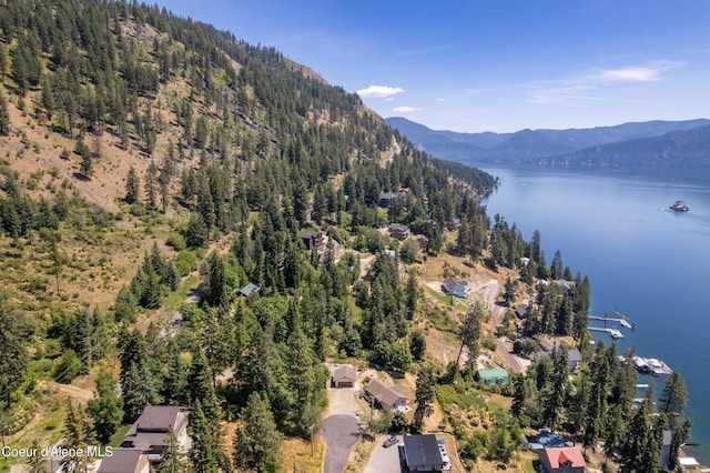 17544 E Arapaho Rd, Bayview, ID 83803 - aerial view of property's location featuring a water and mountain view and a heavily wooded area