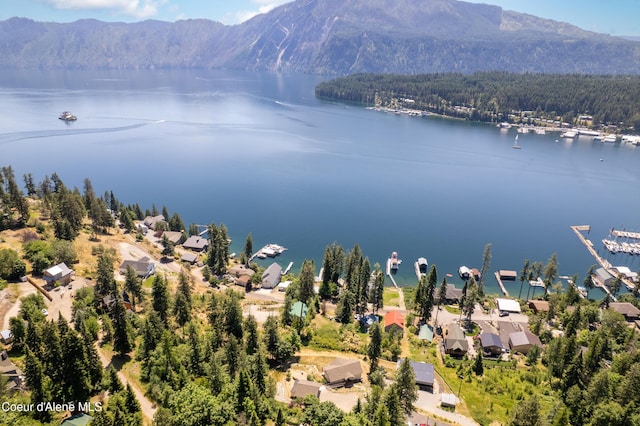17544 E Arapaho Rd, Bayview, ID 83803 - aerial view of residential area featuring a water and mountain view and a forest